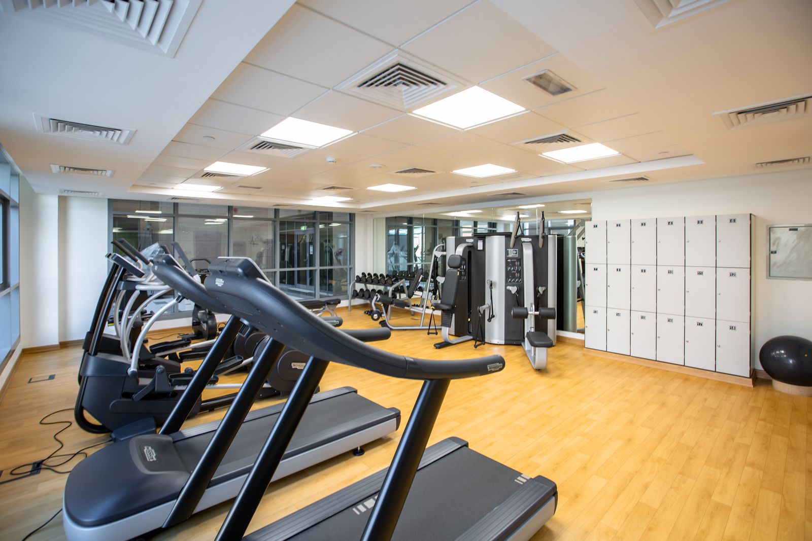 Fitness equipment from Shenzhen packed for ocean freight to New York